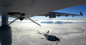 ga asis eaglet takes its first flight