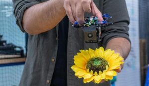 could tiny drone swarms help pollinate crops wpi researcher develops robobees