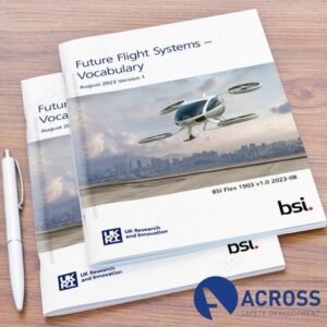 future flight systems vocabulary bsi flex 1903